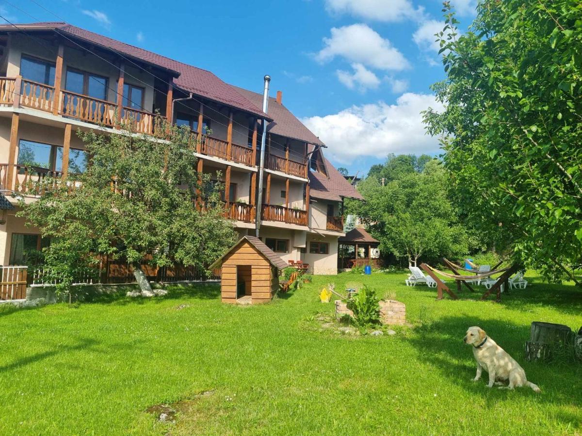 Pensiunea Anotimpuri Bran Bran (Brasov) Exterior photo